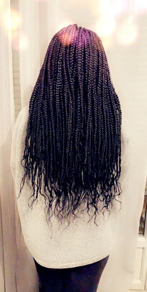 salon de coiffure afro tresse tresses box braids crochet braids vanilles tissages paris 75 77 78 91 92 93 94 95 AFEUIWTN