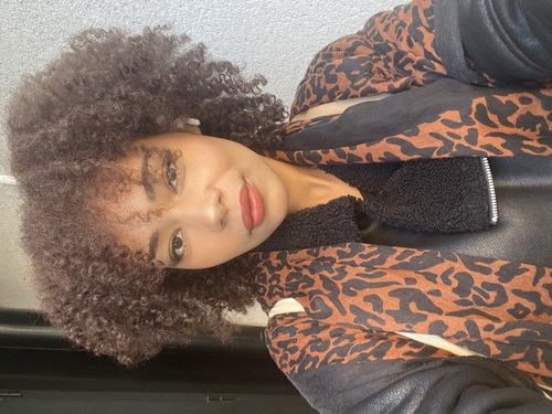 salon de coiffure afro tresse tresses box braids crochet braids vanilles tissages paris 75 77 78 91 92 93 94 95 SWPJPMNR